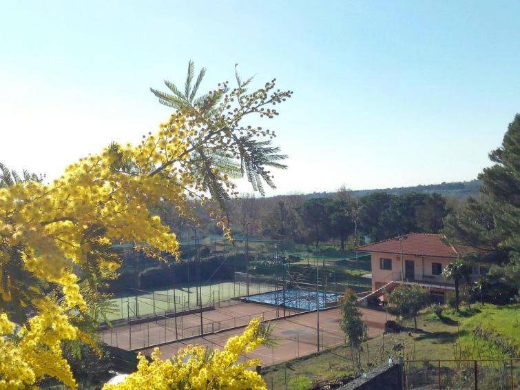 Villa Mimosa Zafferana Etnea Exteriör bild